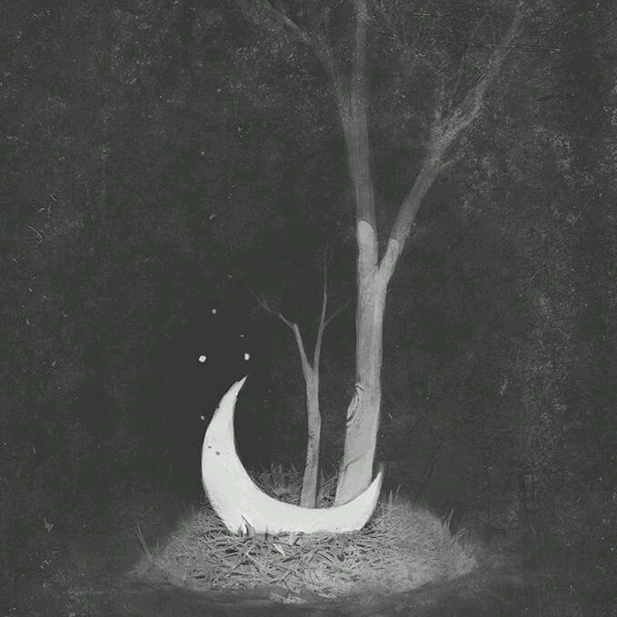 IMG_20150914_063330.jpg image